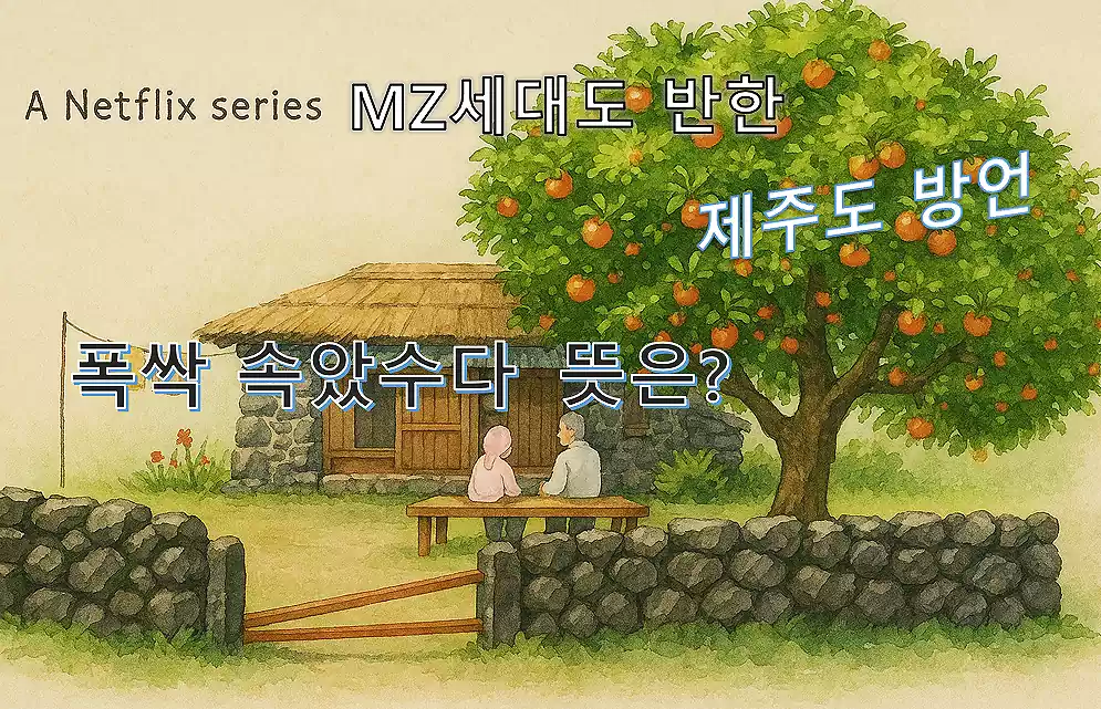 폭삭 속았수다 뜻_배너