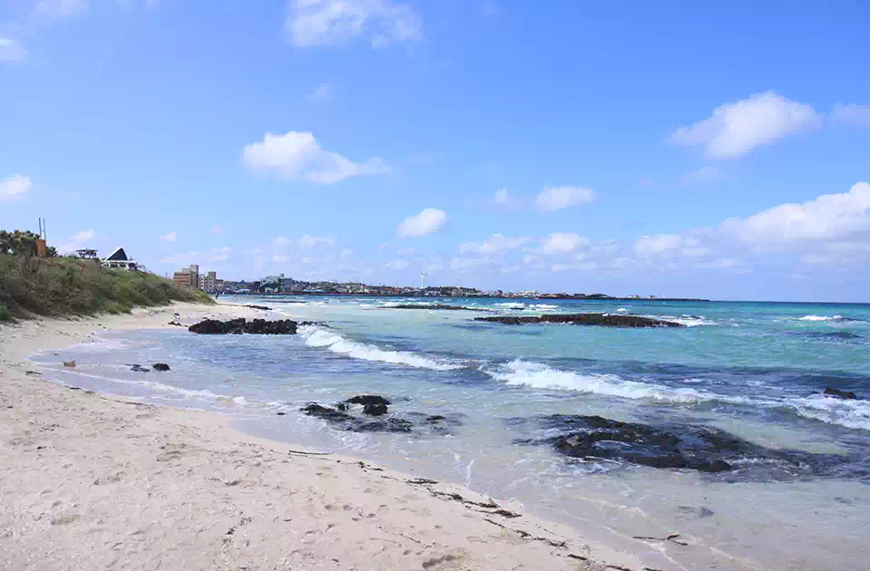 폭싹속았수다촬영지
