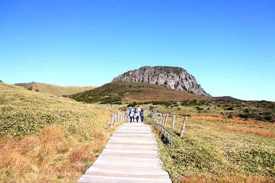 한라산 탐방예약