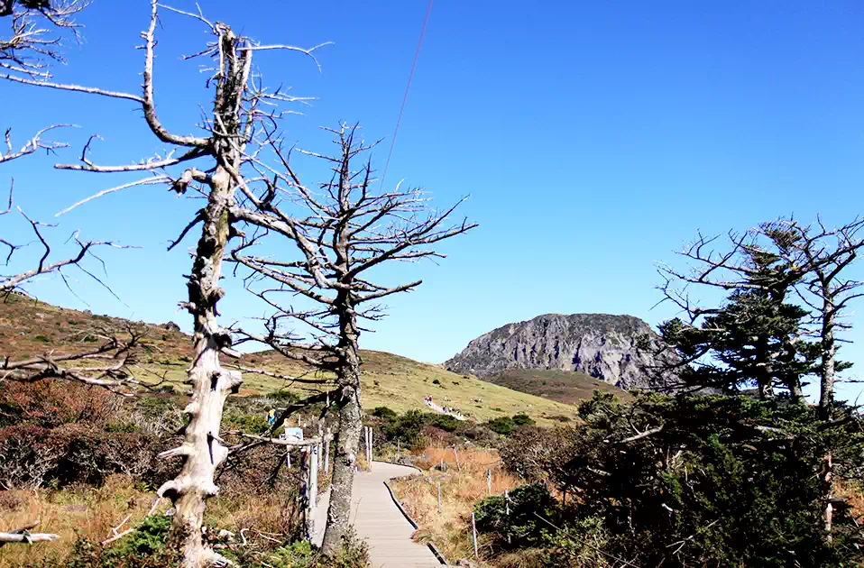 한라산  탐방예약