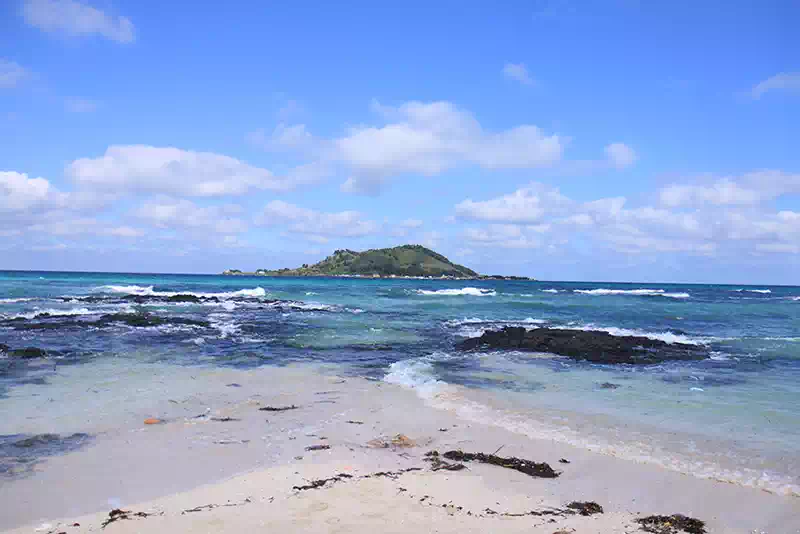 HOME에 오신것을 환영합니다 2 HOME-홈이미지 협재해수욕장