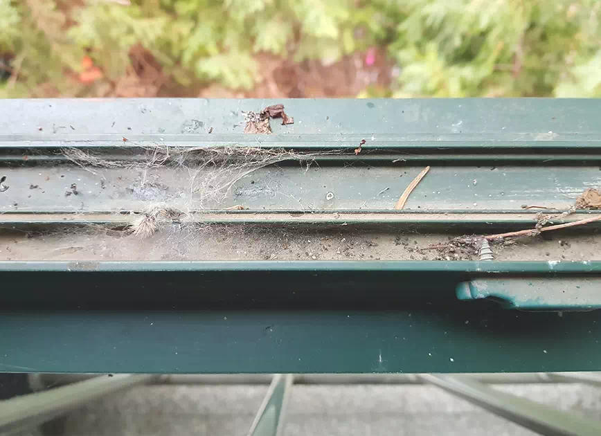 고압스팀청소기