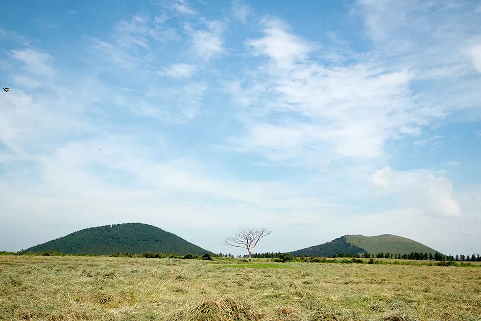 제주도 서쪽 코스 당일 치기 best TOP5 3 제주도 서쪽 코스