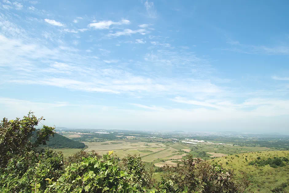 제주도 서쪽 코스 당일 치기 best TOP5 7 제주도 서쪽 코스