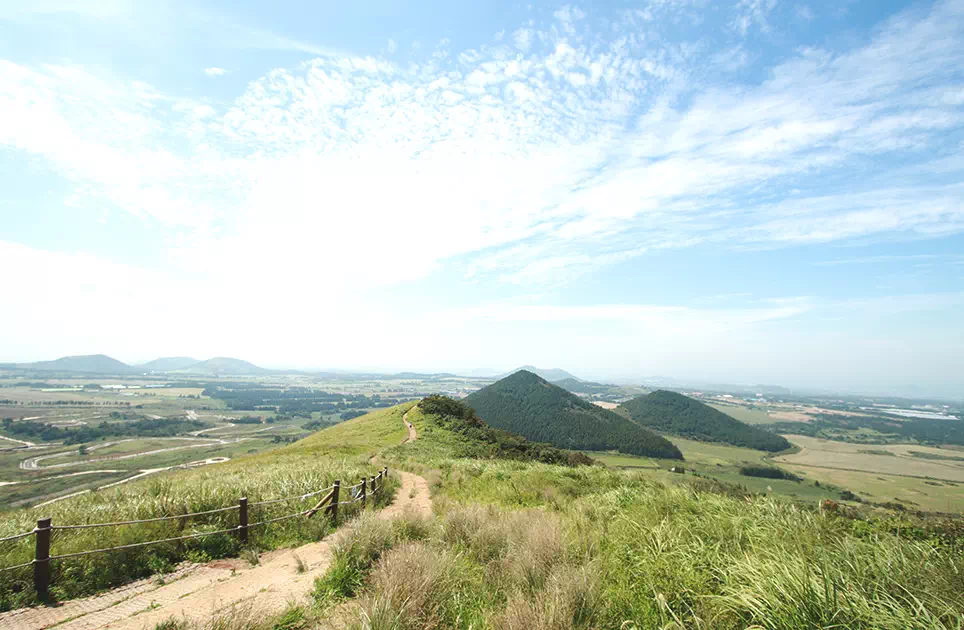 제주도 서쪽 코스 당일 치기 best TOP5 6 제주도 서쪽 코스