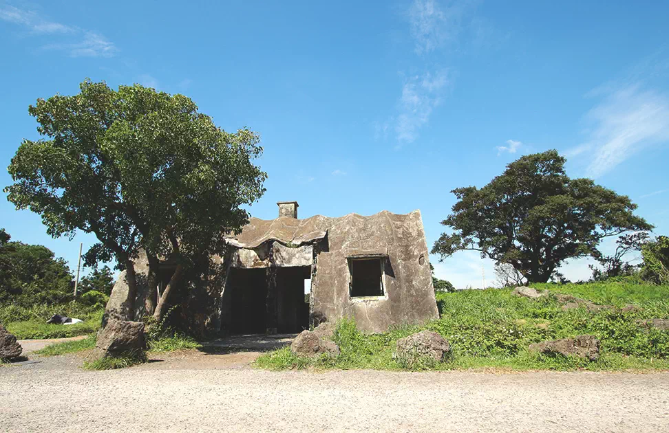 제주도 서쪽 코스 당일 치기 best TOP5 8 제주도 서쪽 코스