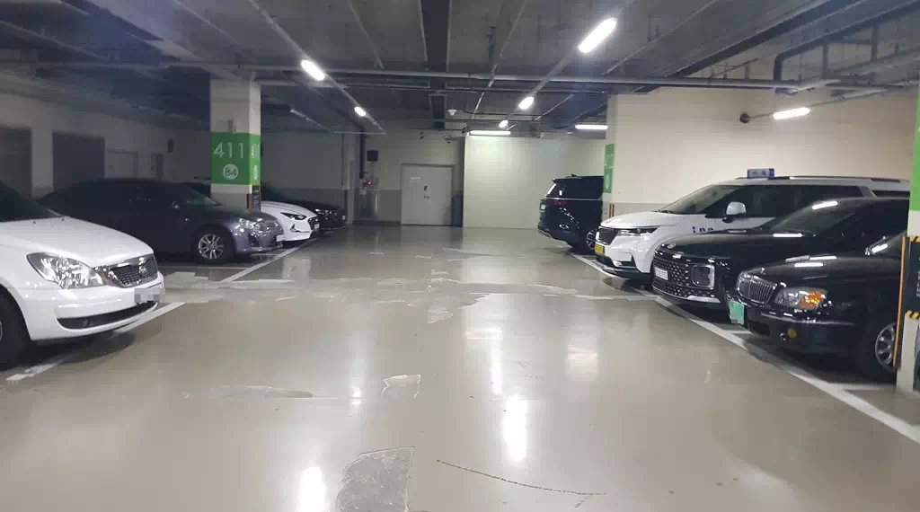 명품웨딩프로포즈