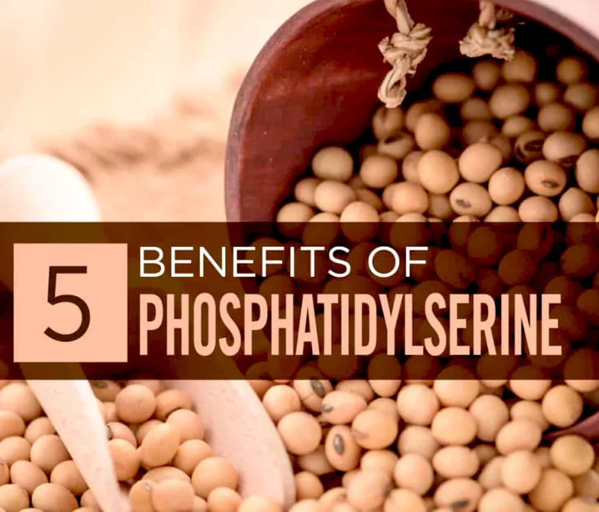 포스파티딜세린 효과: 뇌 건강의 새로운 희망을 열다 알츠하이머 예방 진짜 가능함?? 4 포스파티딜세린 효과